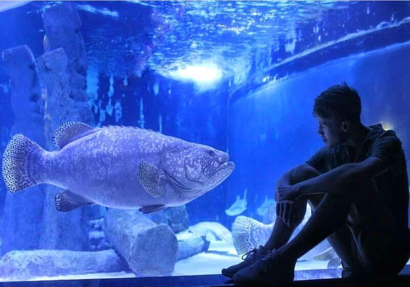 Tunnel Aquarium in Antalya