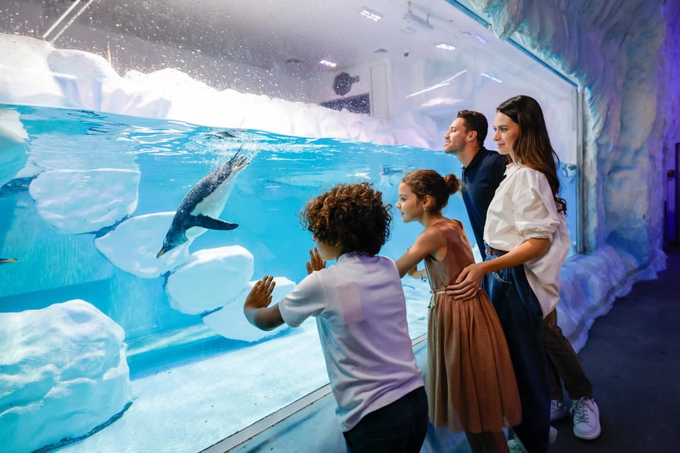 Dubai: Akvaryum ve Sualtı Hayvanat Bahçesi Bileti ve Penguen Koyu