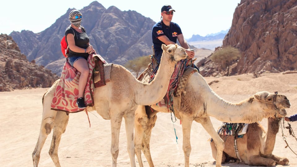 Sharm El Sheikh: ATV, Safari, Camel, Dinner and Show