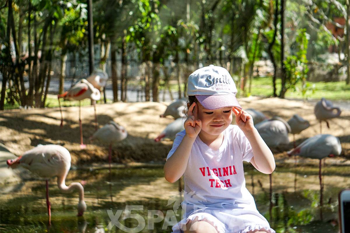  Khao Kheow Open Zoo