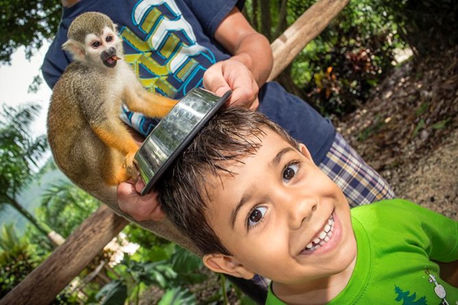 Punta Cana: Monkey Land Half-Day Safari
