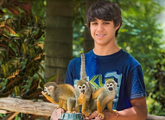 Bayahibe'den: Yarım Gün Monkeyland Safari