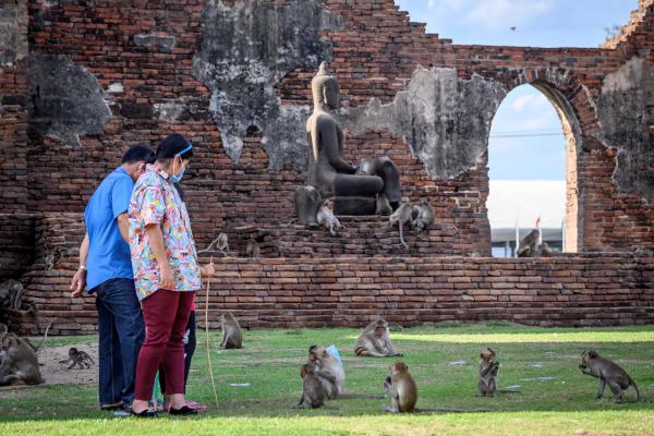 Bangkok: Maymun Şehri Lopburi'ye Özel Araç Kiralama
