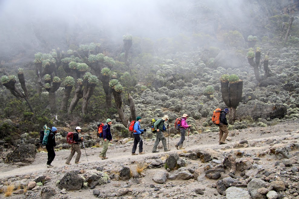 Kilimanjaro Climb - Rongai 6 Days 5 Nights