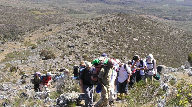 Kilimanjaro Climb - Rongai 6 Days 5 Nights
