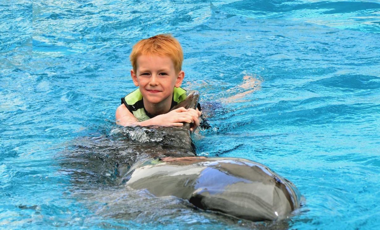 Dolphinarium Yüzme Kemer