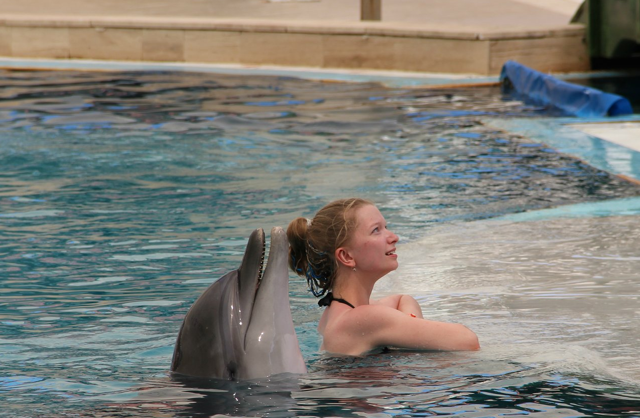  Swimming with dolphins in Kemer