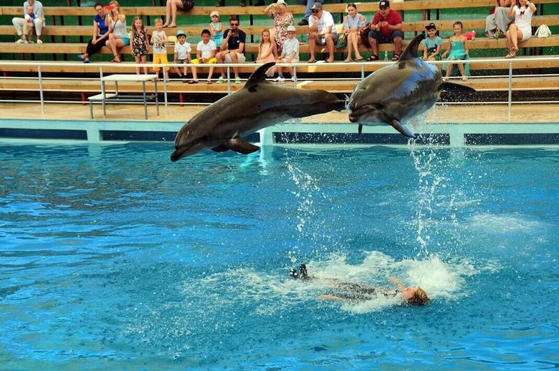Дельфинарий в Кемере 