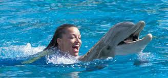 Dolphinarium in Belek