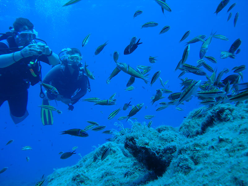 Scuba Diving in Kemer