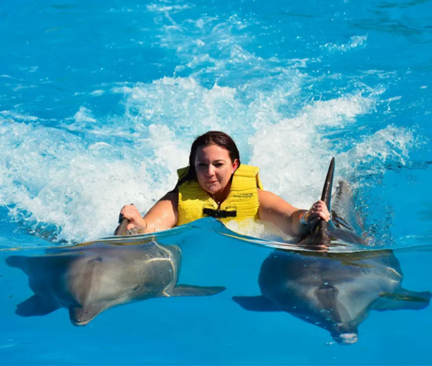  Swimming with dolphins in Kemer